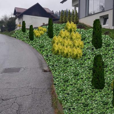 Nacrtovanje Vrta 20