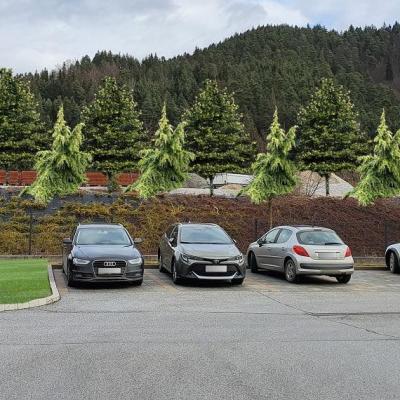 Nacrtovanje Vrta 21