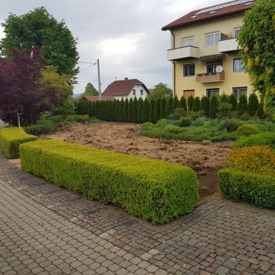 Zivemeje 12
